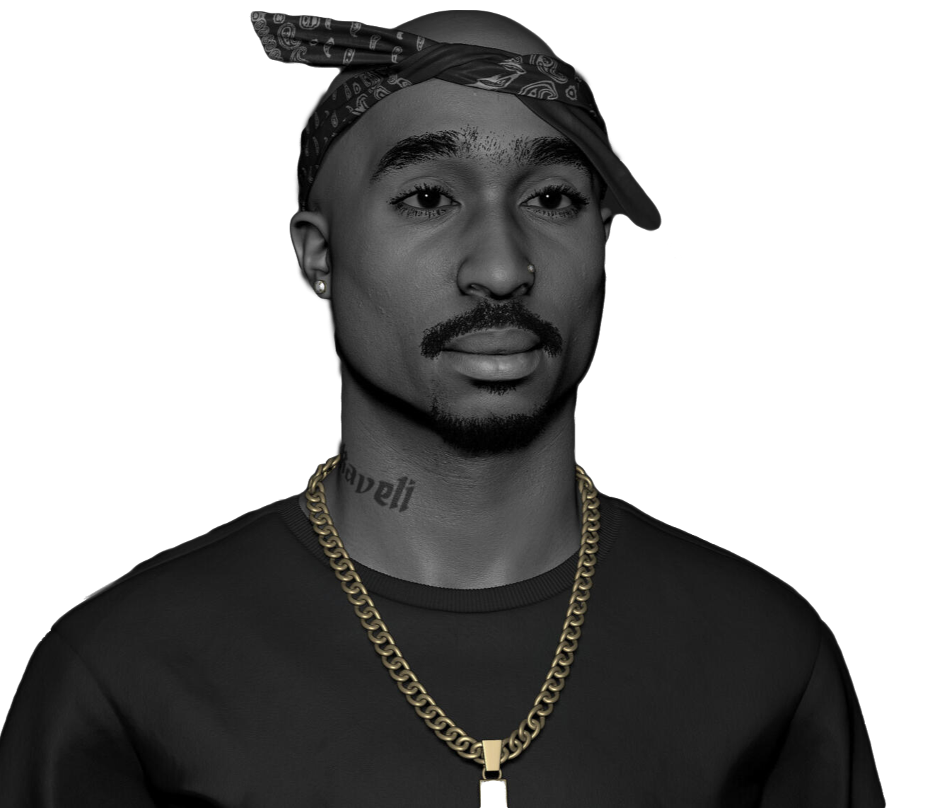 MUSIC VIDEO METAFEED